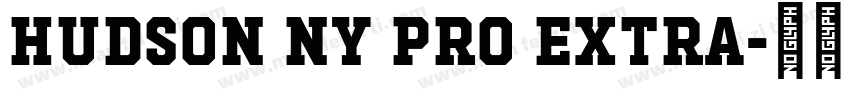 Hudson NY Pro Extra字体转换